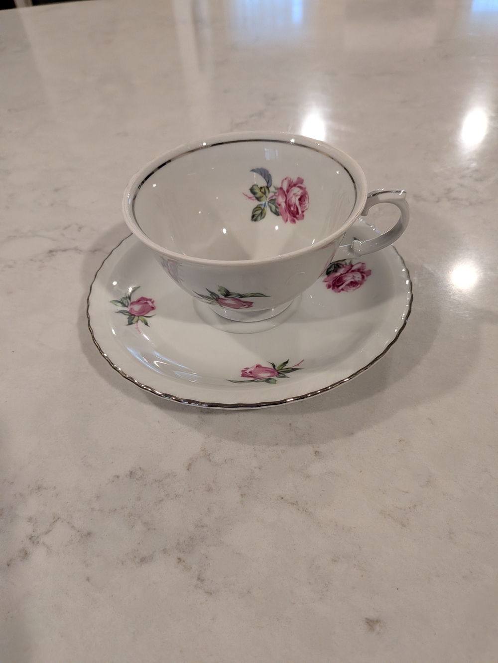 Czechoslovakia Fine Porcelain Tea Cup and Saucer - White with Pink Rose Pattern